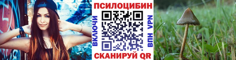 Галлюциногенные грибы Psilocybine cubensis  хочу   Советский 
